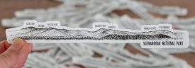 SNP Panoramic Sticker